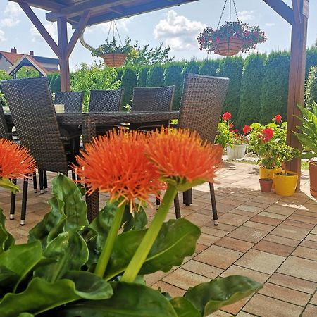 Zsuzsi Vendeghaz Hotel Zalaegerszeg Luaran gambar